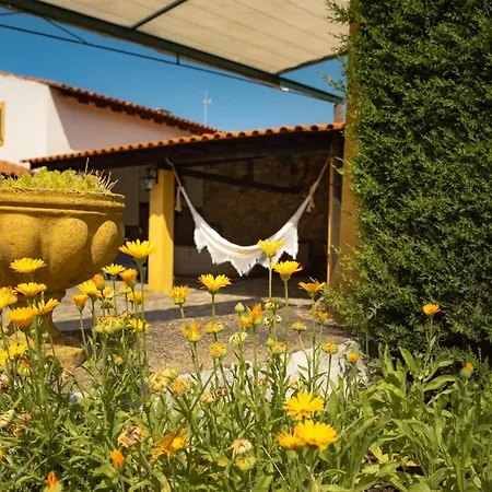 Vakantiehuis A Sobreirinha Jacuzzi E Pet Friendly *