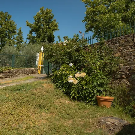 Vakantiehuis A Sobreirinha Jacuzzi E Pet Friendly *