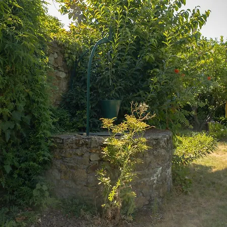 A Sobreirinha Jacuzzi E Pet Friendly Vakantiehuis