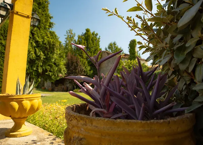 بيت للعطل A Sobreirinha Jacuzzi E Pet Friendly Sobreira Formosa