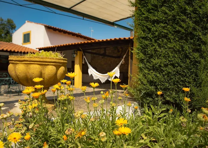 بيت للعطل A Sobreirinha Jacuzzi E Pet Friendly *